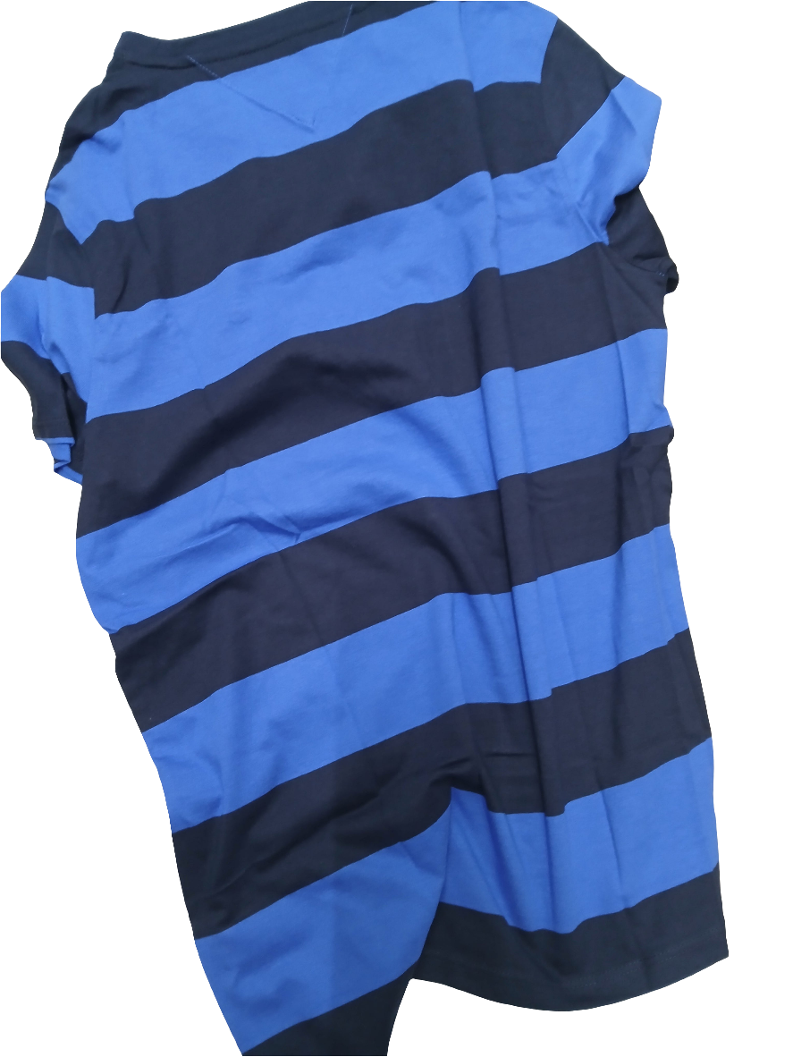 Tommy Hilfiger TShirt Small