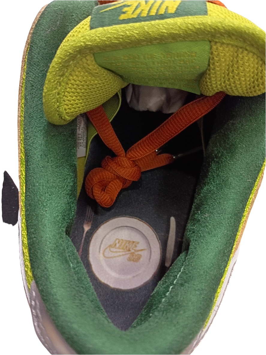 Nike SB Dunk Low Pro