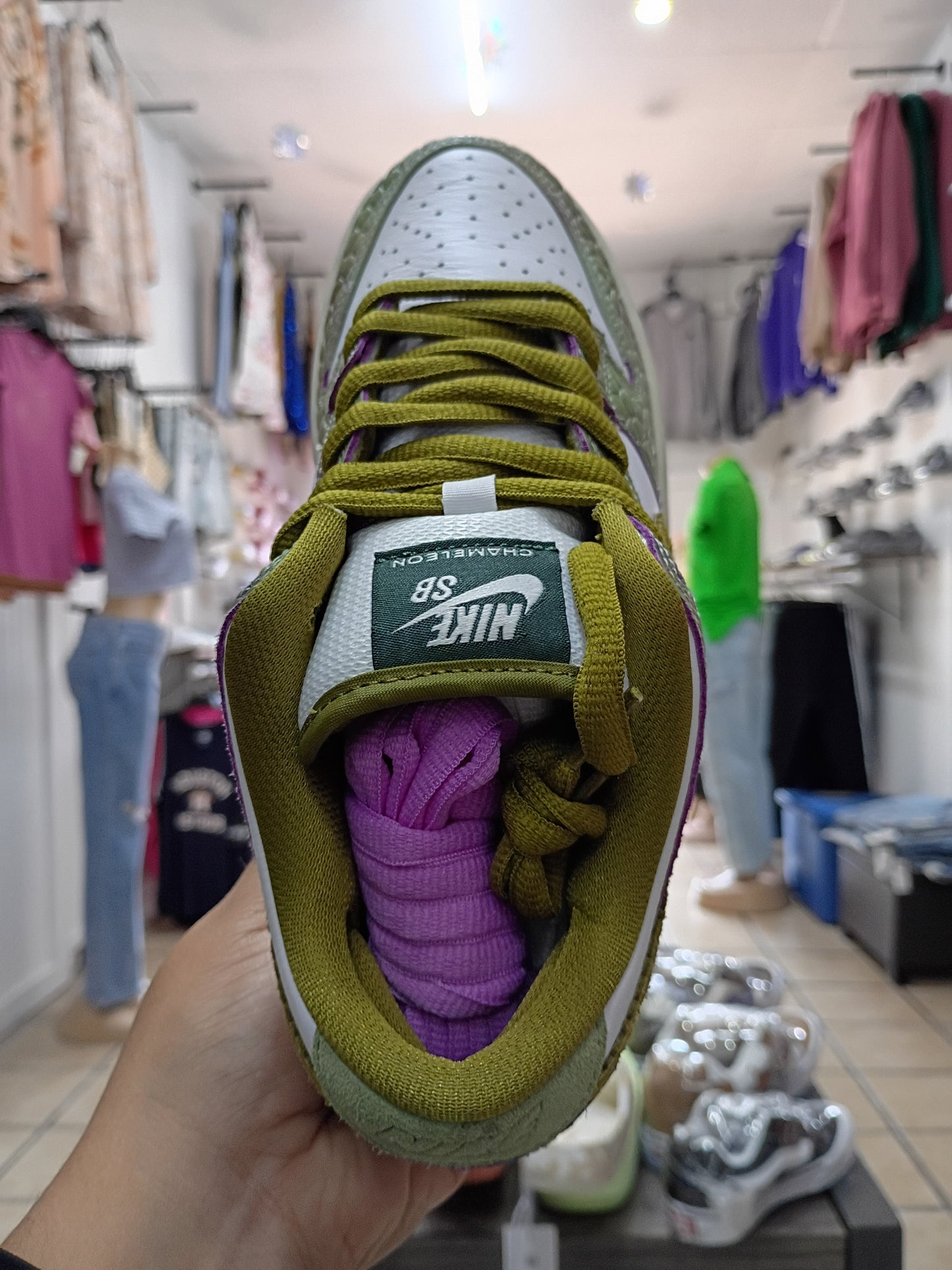 Nike SB Dunk Low