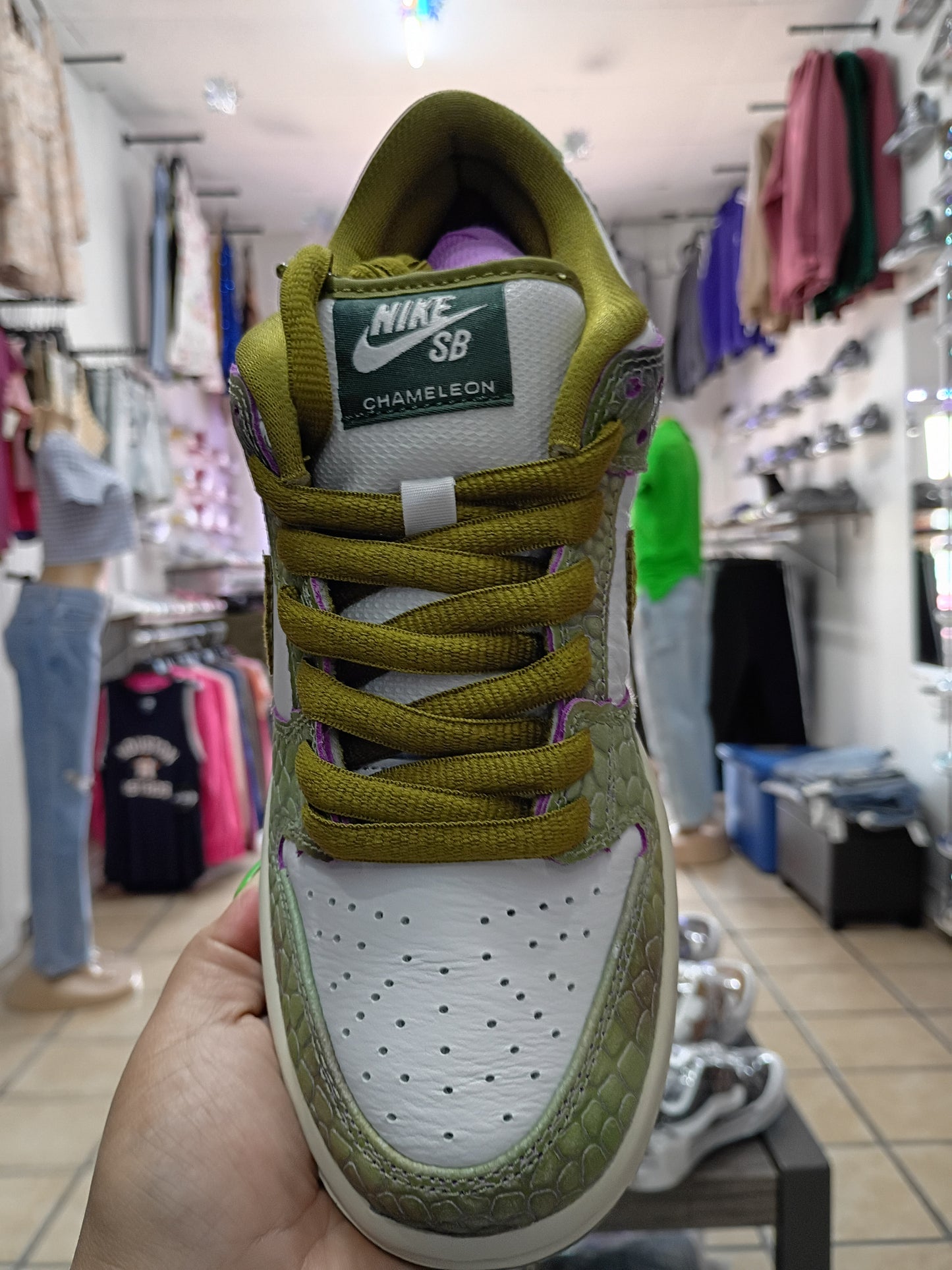 Nike SB Dunk Low